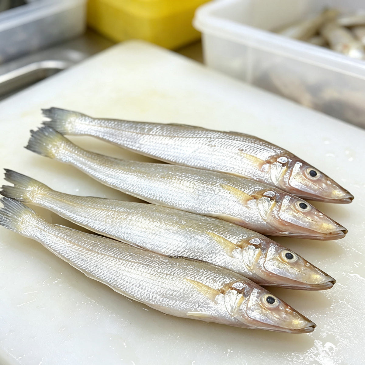 Wild Caught Whole Sardines - view 3